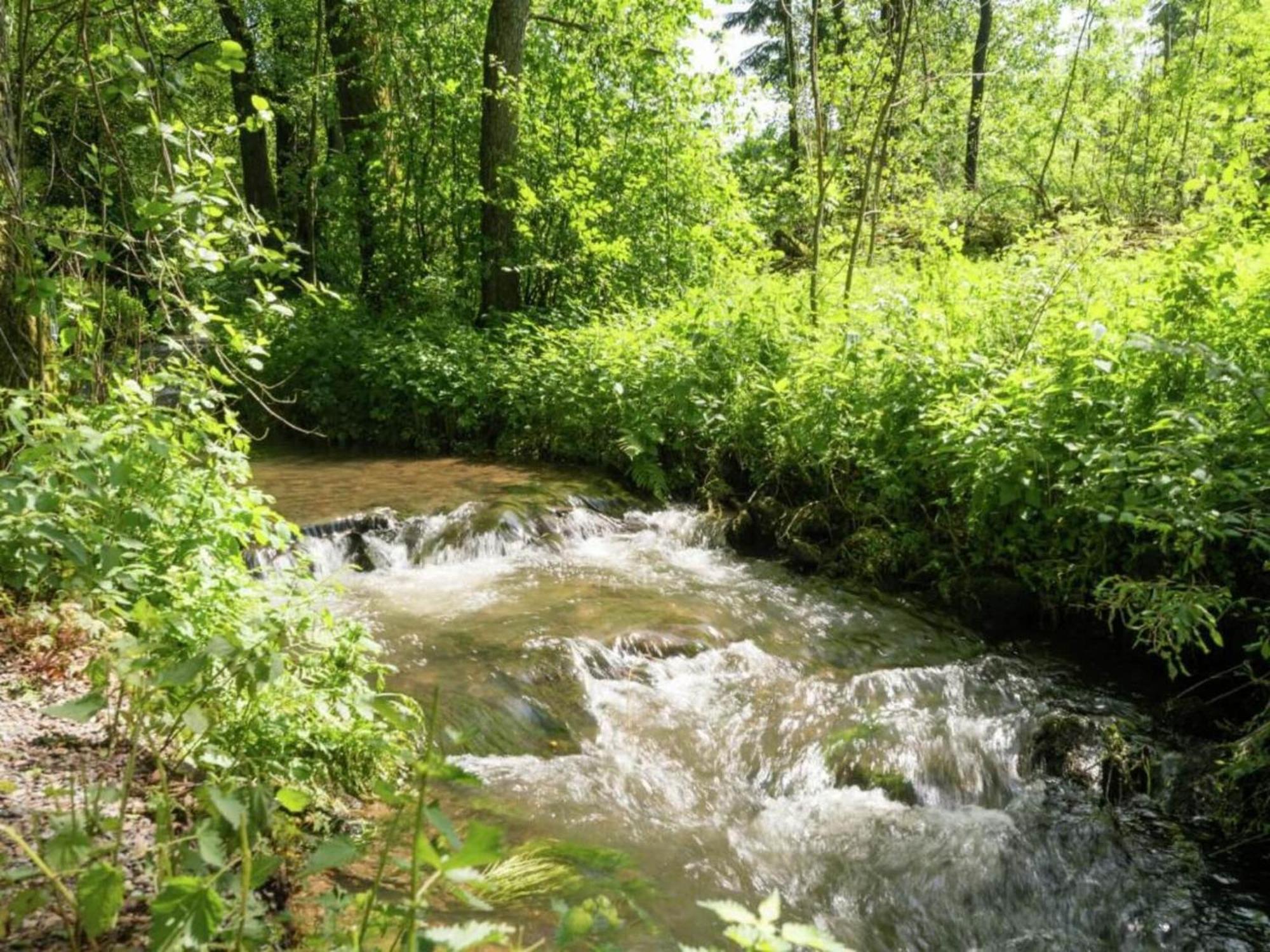 Charming Holiday Home In Malmedy With Sauna Ngoại thất bức ảnh